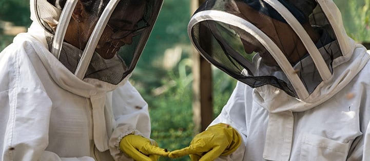 Bee.Spoke Learning Centre